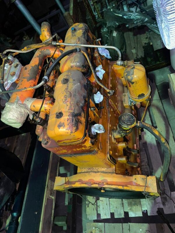 Hanomag Motor Robust 800 – Bild 2
