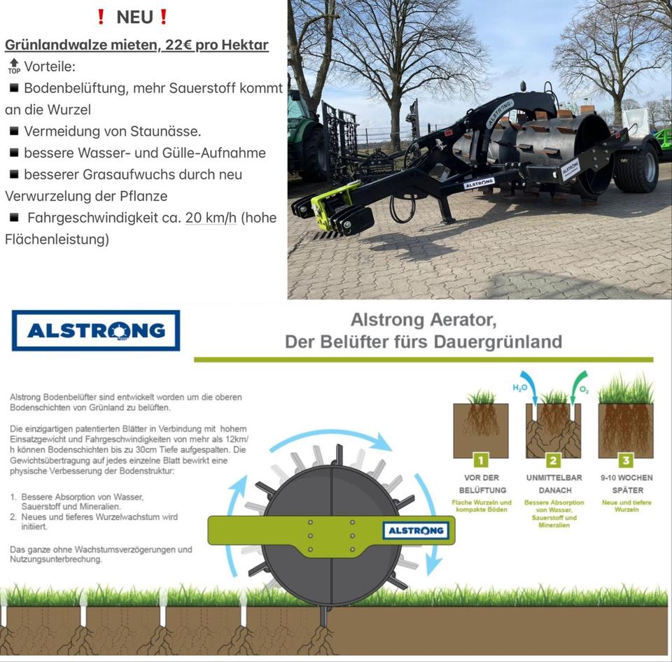 Stachelwalze, Walze , Vermietung , Mieten