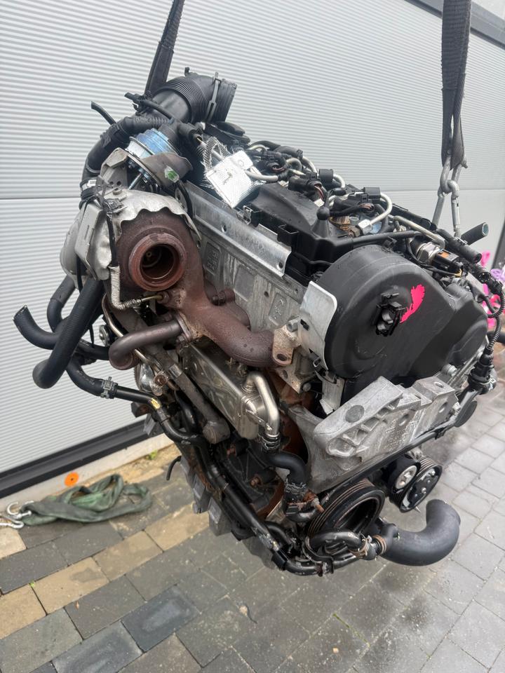 MOTOR VW SEAT SKODA 1.6 TDI CAY CAYD CAYC CAYE KOMPLETT – Bild 3