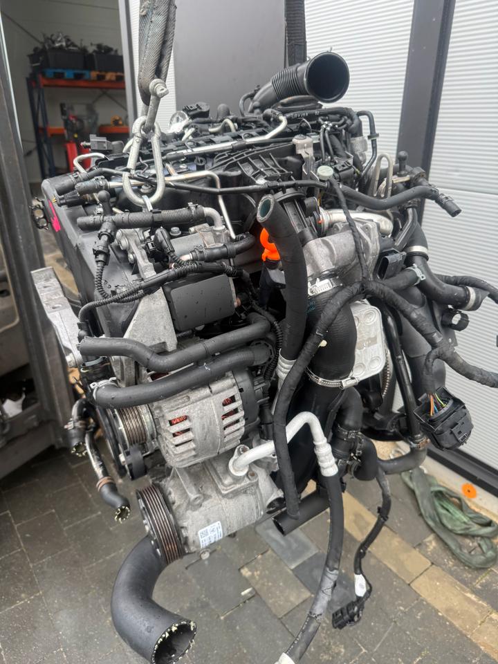 MOTOR VW SEAT SKODA 1.6 TDI CAY CAYD CAYC CAYE KOMPLETT – Bild 2