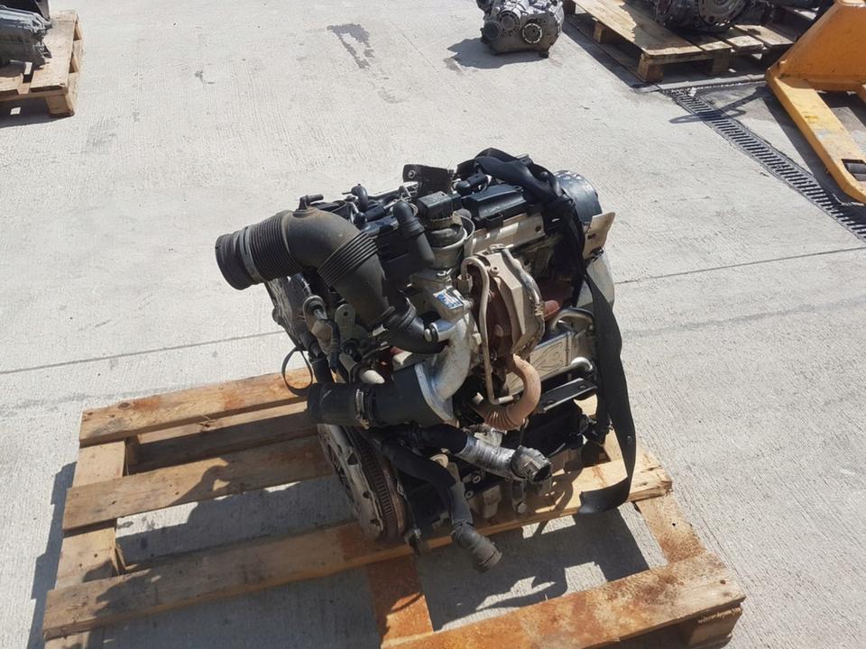 MOTOR VW POLO GOLF PASSAT SKODA SEAT 1.6 TDI CAY CAYD CAYE CAYC – Bild 3