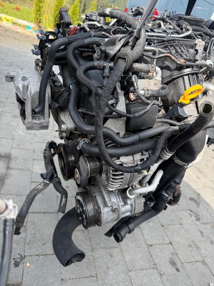 MOTOR AUDI VW SEAT SKODA 1.6 TDI CAY CAYE CAYD CAYC KOMPLETT – Bild 2