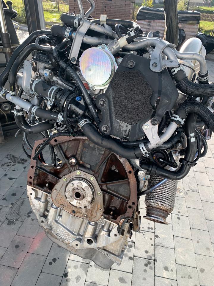 MOTOR NISSAN NAVARA 2.3 BITURBO 190PS YS23 YS23DDTT KOMPLETT – Bild 3