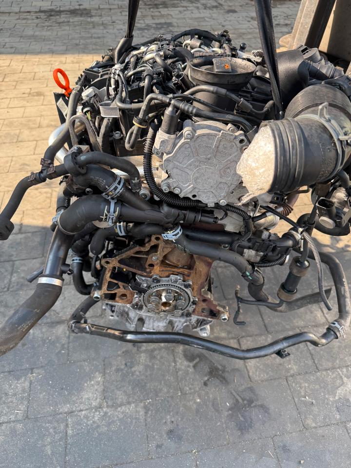 MOTOR VW POLO GOLF SEAT SKODA 1.6 TDI CAY CAYD CAYC KOMPLETT – Bild 2