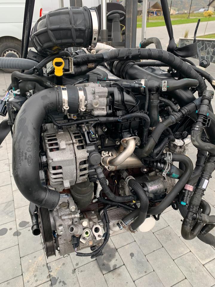 MOTOR FORD TRANSIT CUSTOM 2.0 ECOBLUE YMF6 YMFS YLF6 KOMPLETT