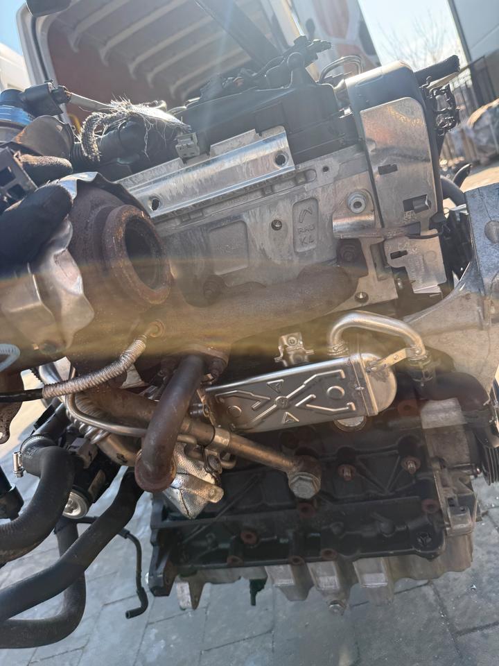 MOTOR VW POLO GOLF SEAT SKODA 1.6 TDI CAY CAYD CAYC KOMPLETT – Bild 3