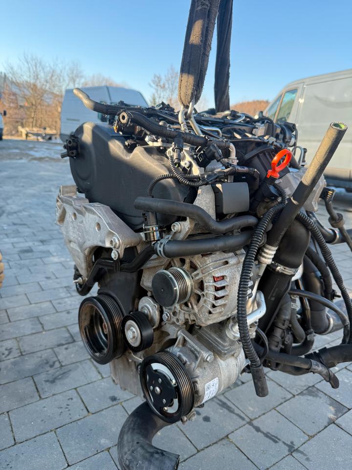 MOTOR VW AUDI SEAT SKODA 1.6 TDI CAY CAYD CAYC CAYE KOMPLETT